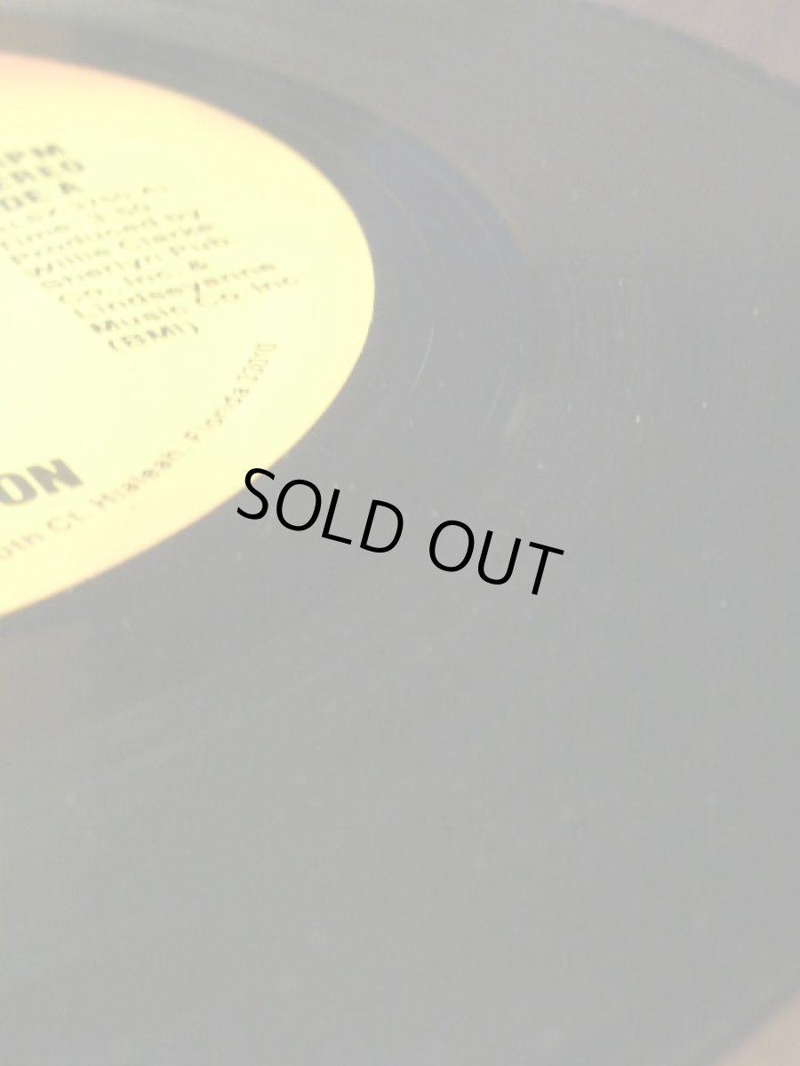 画像3: DAVID HUDSON♪HONEY HONEY♪ (3)