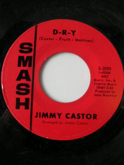 画像1: JIMMY CASTOR♪LEROY IS IN THE ARMY♪