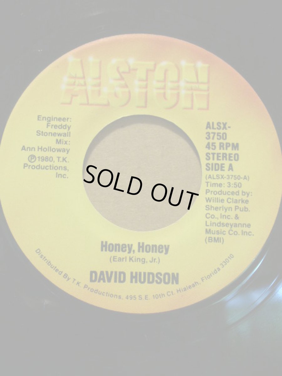 画像1: DAVID HUDSON♪HONEY HONEY♪ (1)