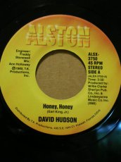 画像1: DAVID HUDSON♪HONEY HONEY♪ (1)