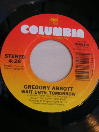 画像2: GREGORY ABBOTT♪SHAKE YOU DOWN♪