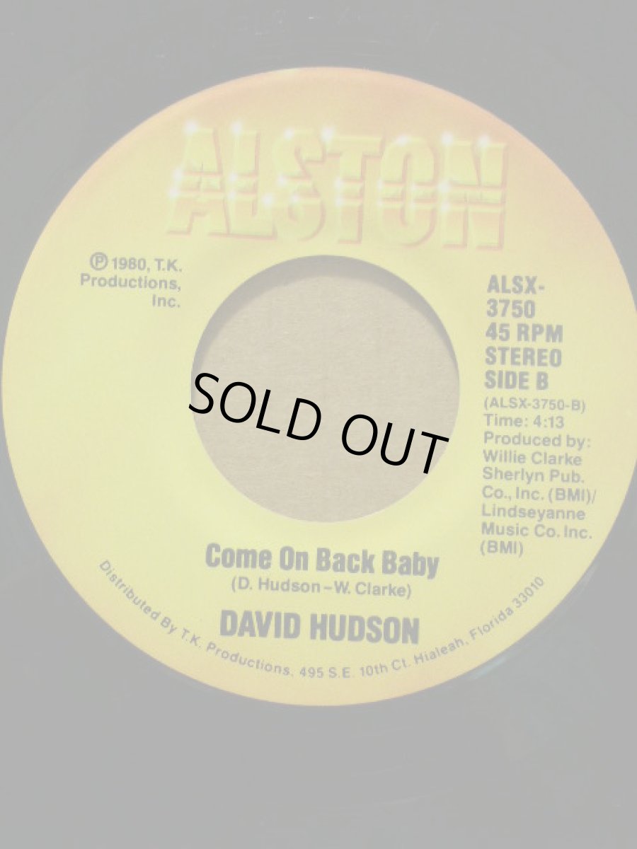 画像2: DAVID HUDSON♪HONEY HONEY♪ (2)
