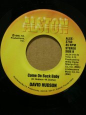 画像2: DAVID HUDSON♪HONEY HONEY♪ (2)