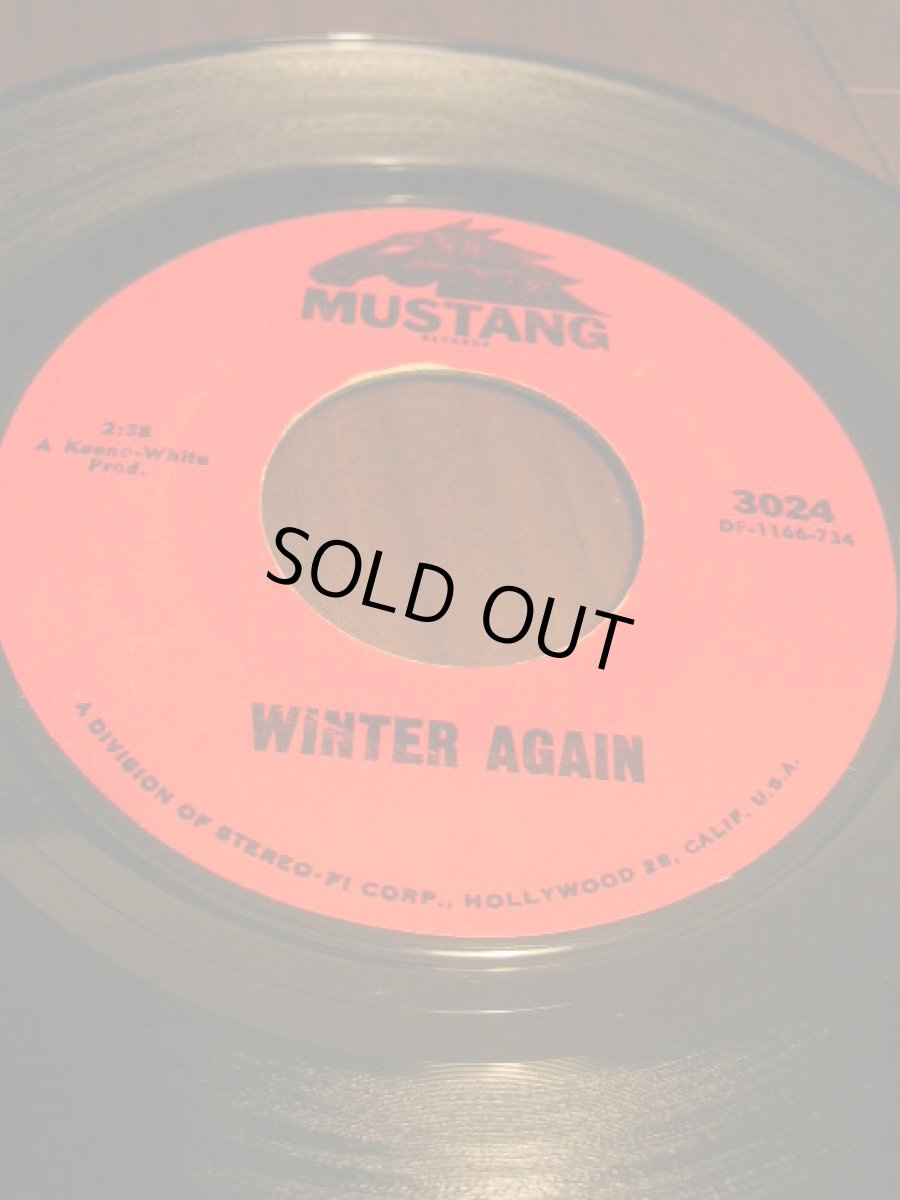 画像2: FELICE TAYLOR♪IT MAY BE WINTER OUTSIDE♪ (2)