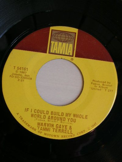 画像1: MARVIN GAYE AND TAMMI TERRELL♪IF THIS WORLD WERE MINE♪