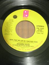 画像1: SHARON PAIGE♪HOPE THAT WE CAN BE TOGETHER SOON♪ (1)