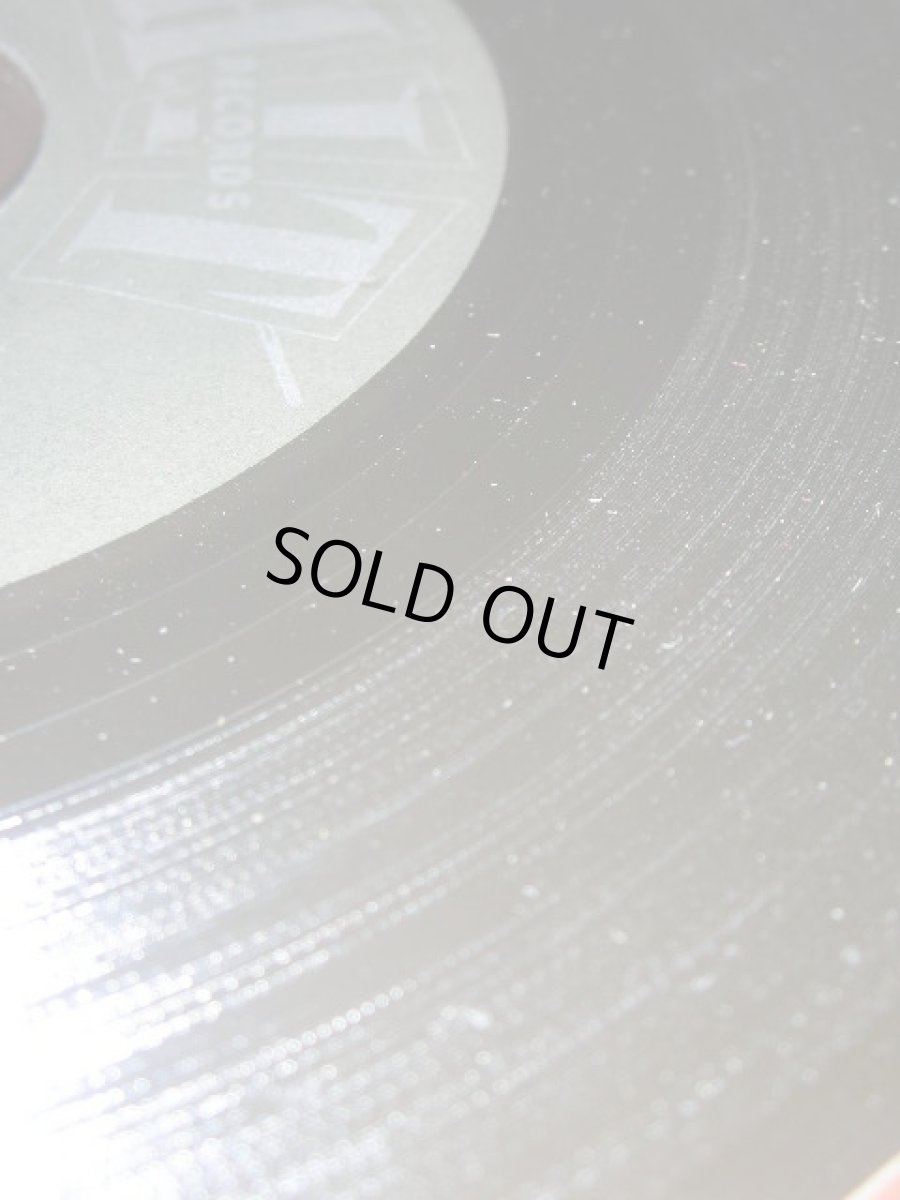 画像3: ALPHA ZOE♪EVERYBODY LOVES A LOVER♪ (3)