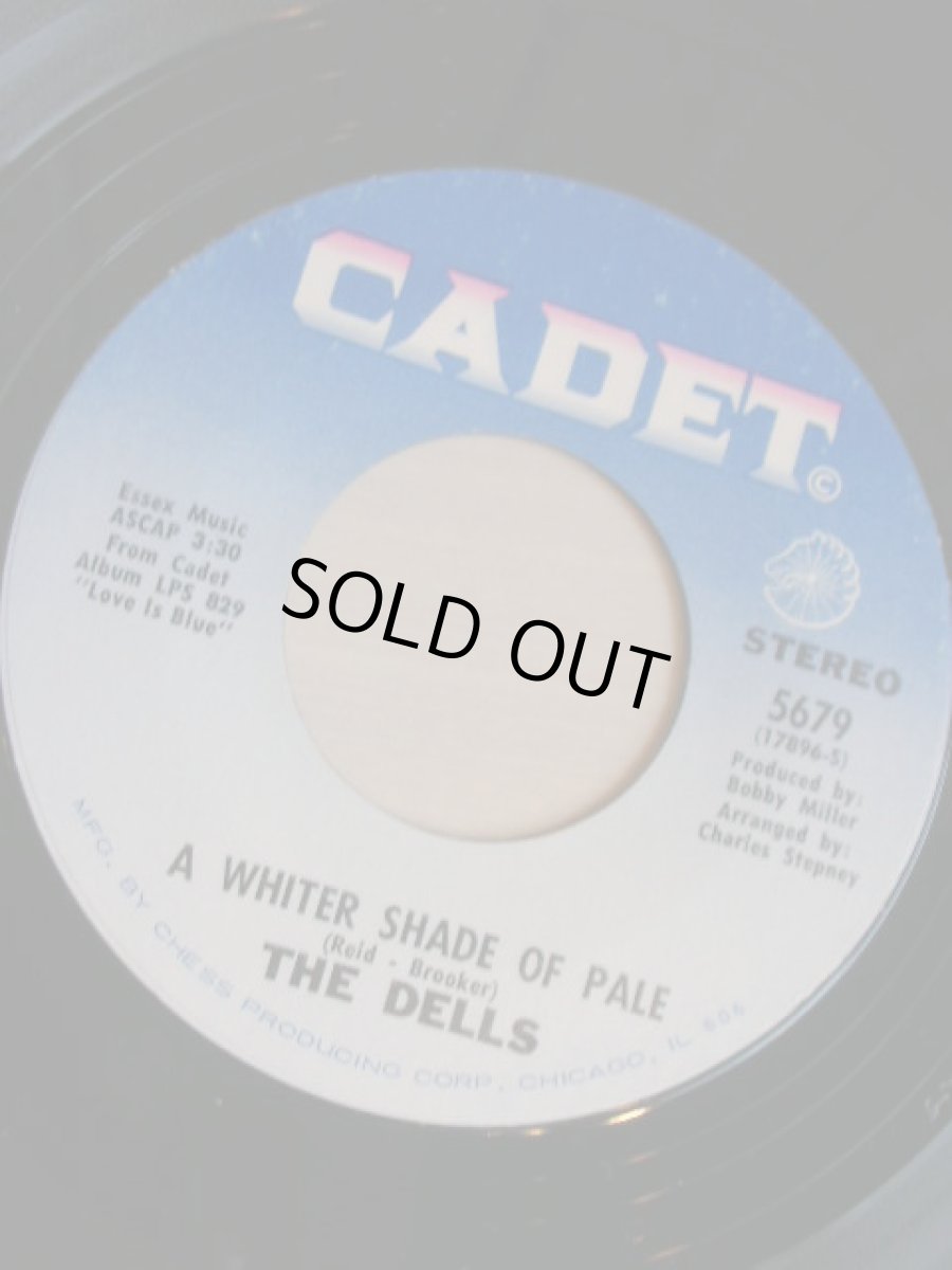 画像1: DELLS♪WHITER SHADE OF PALE♪ (1)